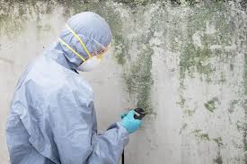 Asbestos and Lead Testing During Mold Inspection in Los Fresnos, TX